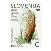 image: SLOVENIA - EUROPA 2024